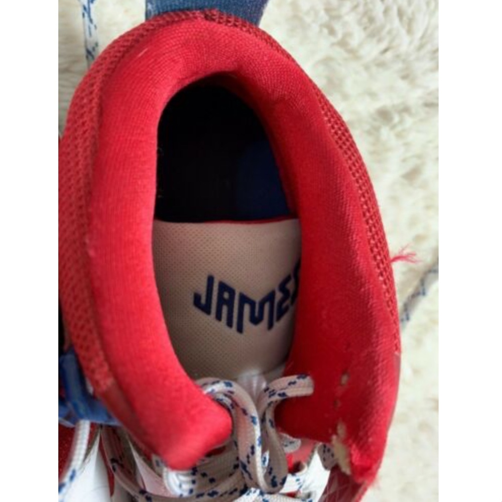 Nike Air Akronite Mid Top Lebron James Sneakers - Picture 4 of 8